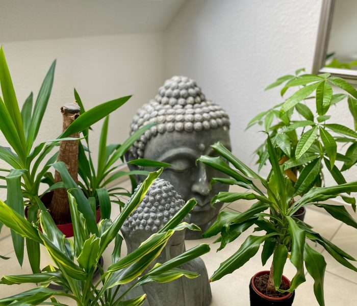 99769972-5E40-4CCD-AB12-2166393B47D0